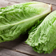 Illustration for article titled Don't eat romaine lettuce, people